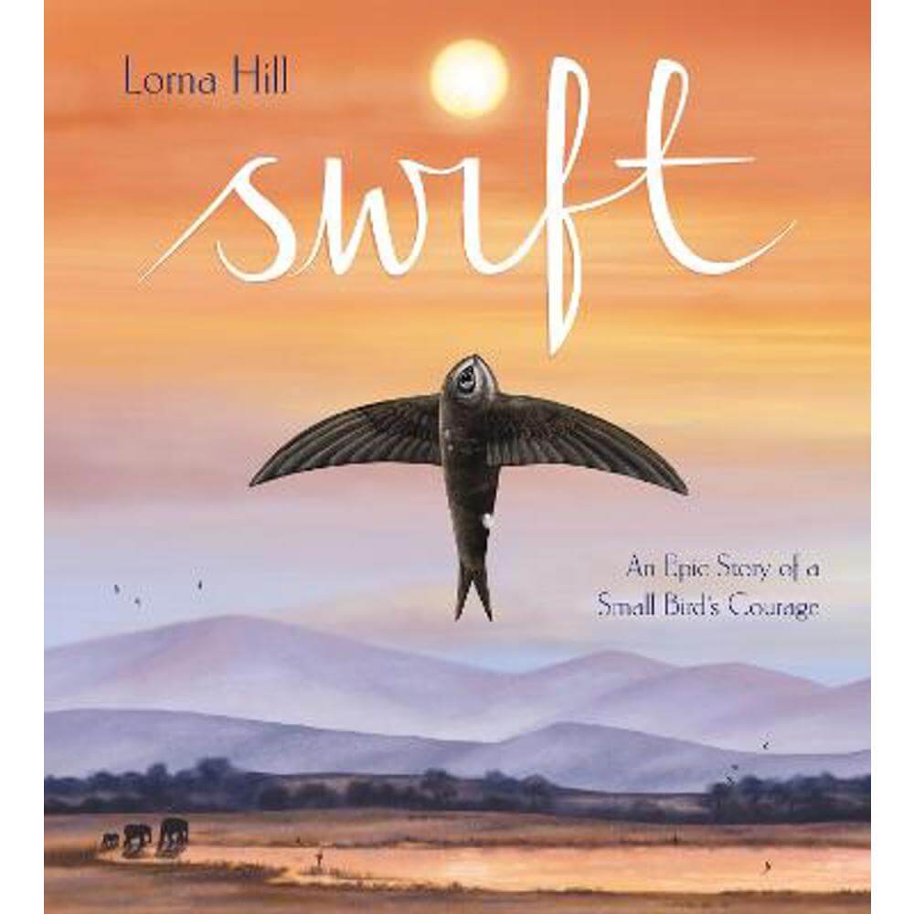 Swift: An Epic Story of a Small Bird's Courage (Paperback) - Lorna Hill